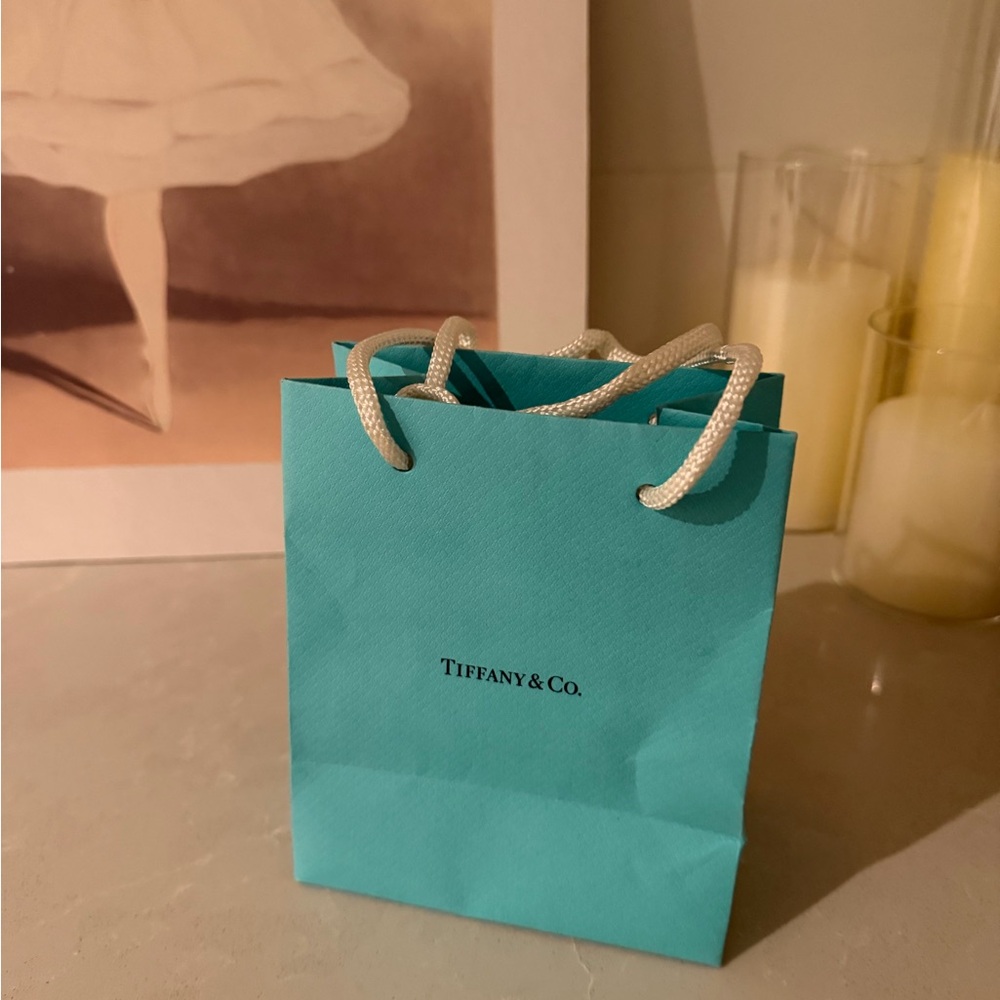 Tiffany & Co. Blue Gift Bag